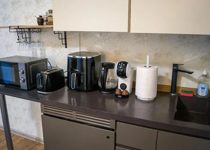 Old Town Room, Private Bathroom - A 公寓 塔林